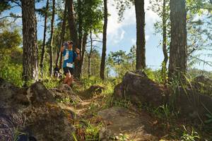 BIB: 
                            <button type="button" onclick="openModal(18933472)" class="btn btn-primary btn-sm float-right btn-popup" data-toggle="modal" data-target=".modal-high-quality">
                        <i class="fas fa-shopping-cart"></i> Add to Cart
                    </button>
                                            <button type="button" onclick="isThisMe(18933472, true)" class="btn btn-success btn-sm float-right btn-popup btn-isme hidden" data-toggle="tooltip" data-placement="bottom" title="นี่คือรูปของคุณใช่ไหม คลิกที่นี่เพื่อเอาเข้าอัลบั้ม">
                        <i class="fas fa-plus"></i> Add to album
                    </button>
                    <button type="button" onclick="isThisMe(18933472, false)" class="btn btn-warning btn-sm float-right btn-popup btn-isnotme hidden">
                        <i class="fas fa-ban"></i> Remove from album
                    </button>